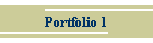 Portfolio 1