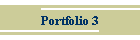 Portfolio 3