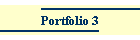 Portfolio 3